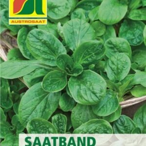 Fita de Sementes de Canónigos "Verte de Cambrai"