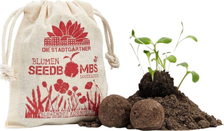 Bombas de Sementes "Campo de Cereais em Flor", 8 Unidades